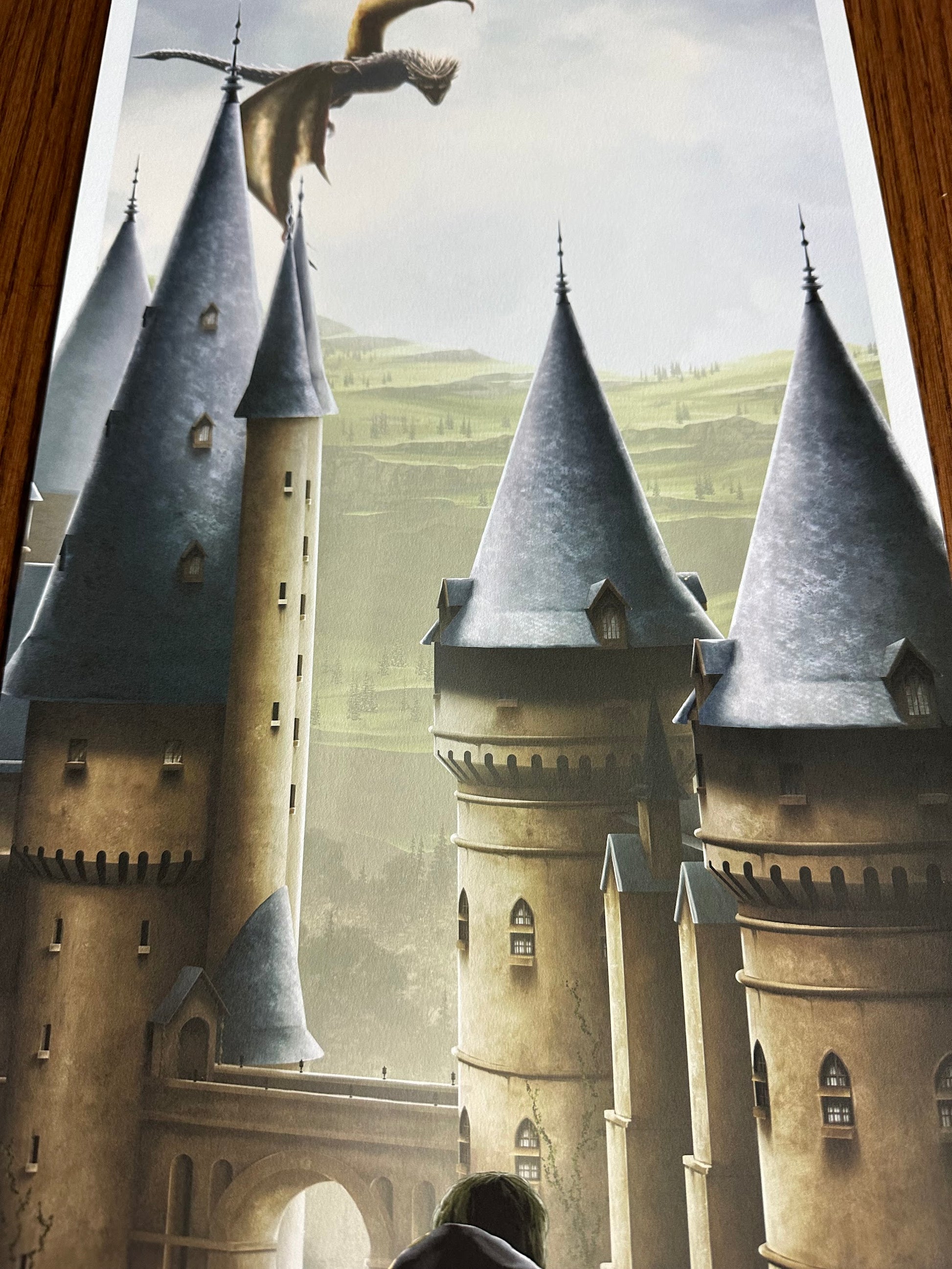 Ben Harman – Harry Potter and the Goblet of Fire, 12 x 36 in, art print, image 4