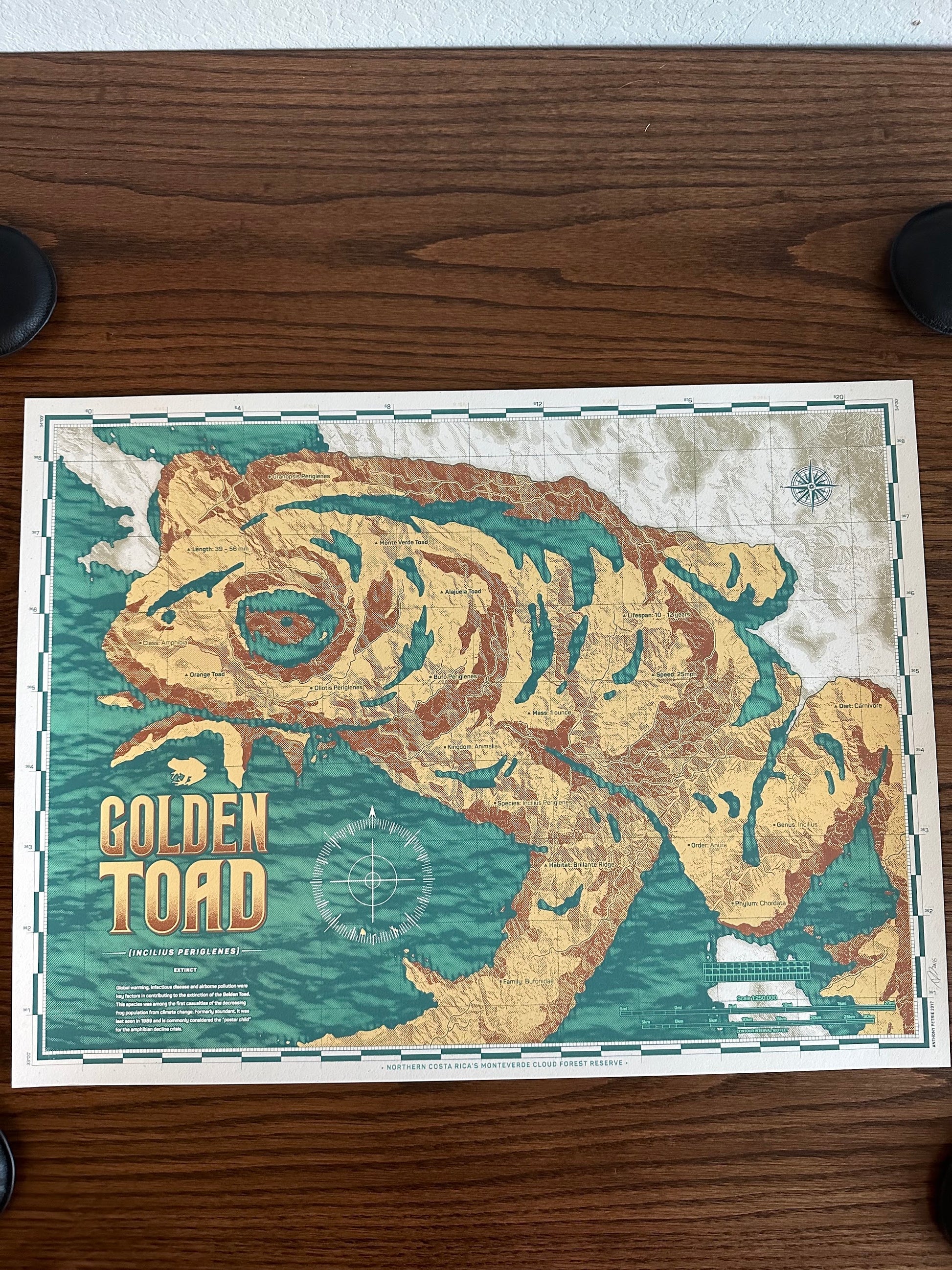 Anthony Petrie – Golden Toad Map, 18 x 24 in, art print