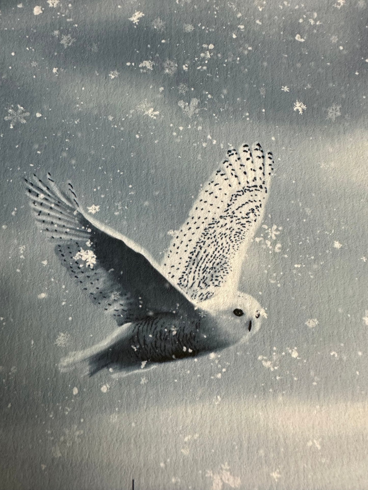 Ben Harman – Harry Potter and the Order of the Phoenix, 12 x 36 in, art print, image 3