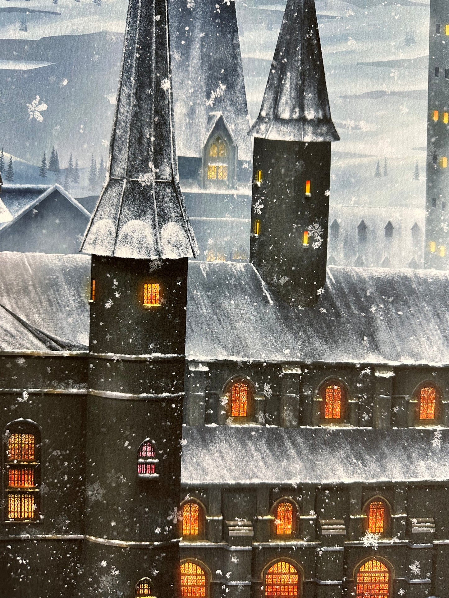 Ben Harman – Harry Potter and the Order of the Phoenix, 12 x 36 in, art print, image 5