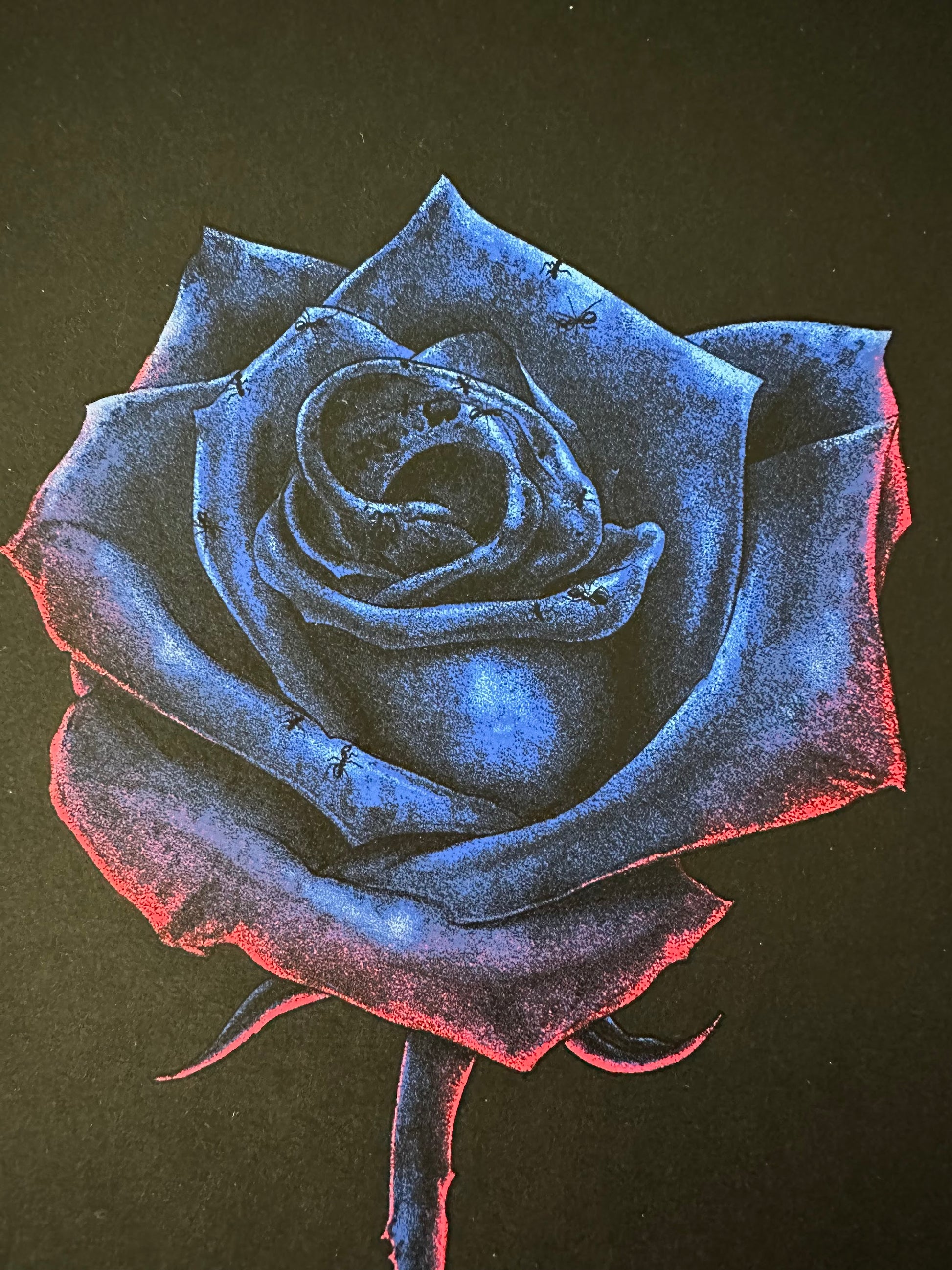 Matt Ryan Tobin - Blue Velvet Portrait 8x10 art print - detail image 2