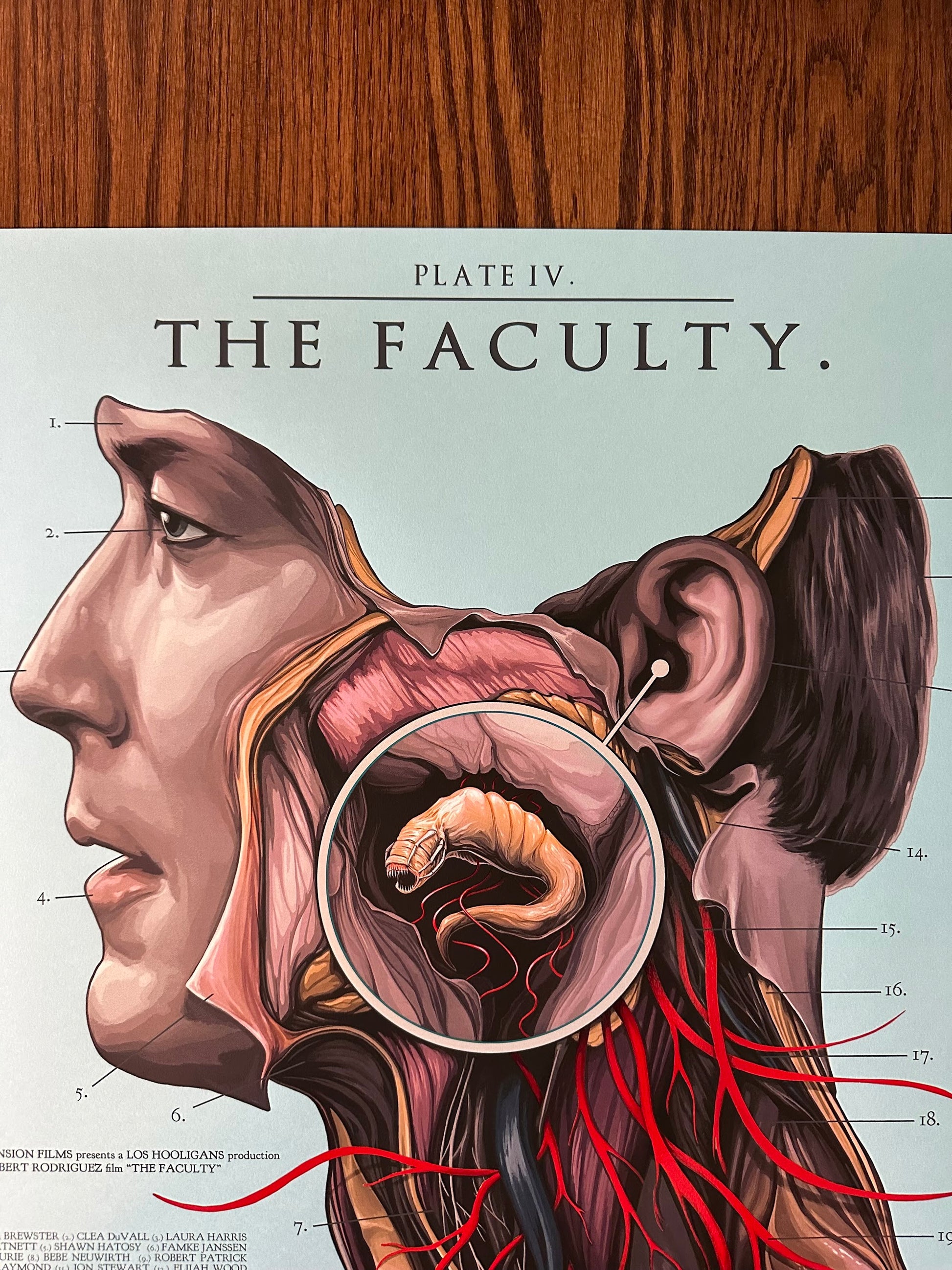 David Seidman – The Faculty, 24 x 36 in, poster, image 2