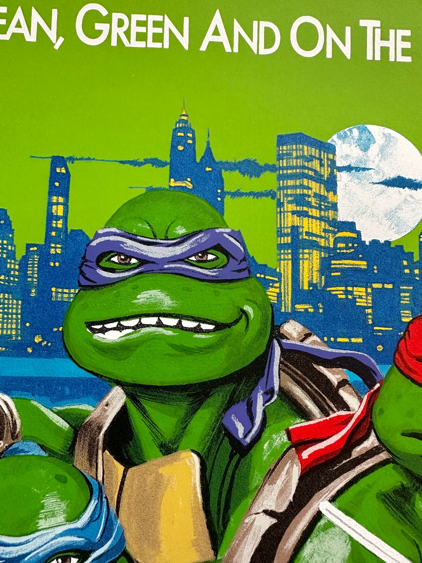 Paul Mann – Teenage Mutant Ninja Turtles Green Variant, 24 x 36 in, poster, image 6